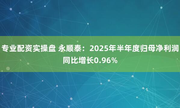 专业配资实操盘 永顺泰：2025年半年度归母净利润同比增长0.96%