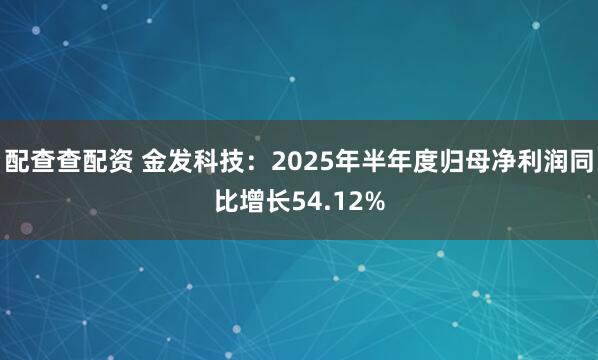 配查查配资 金发科技：2025年半年度归母净利润同比增长54.12%